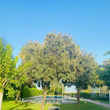 Palomar - Palomargroup *