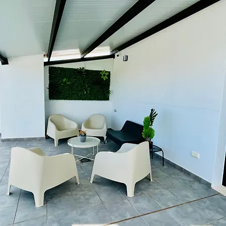 Palomar - Palomargroup Alfara Del Patriarca